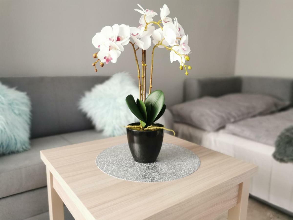 Apartament Gorska 8 - Blisko Centrum Świeradów-Zdrój Εξωτερικό φωτογραφία